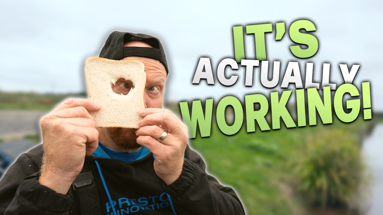 Andy May's Bread Feeder Tactics