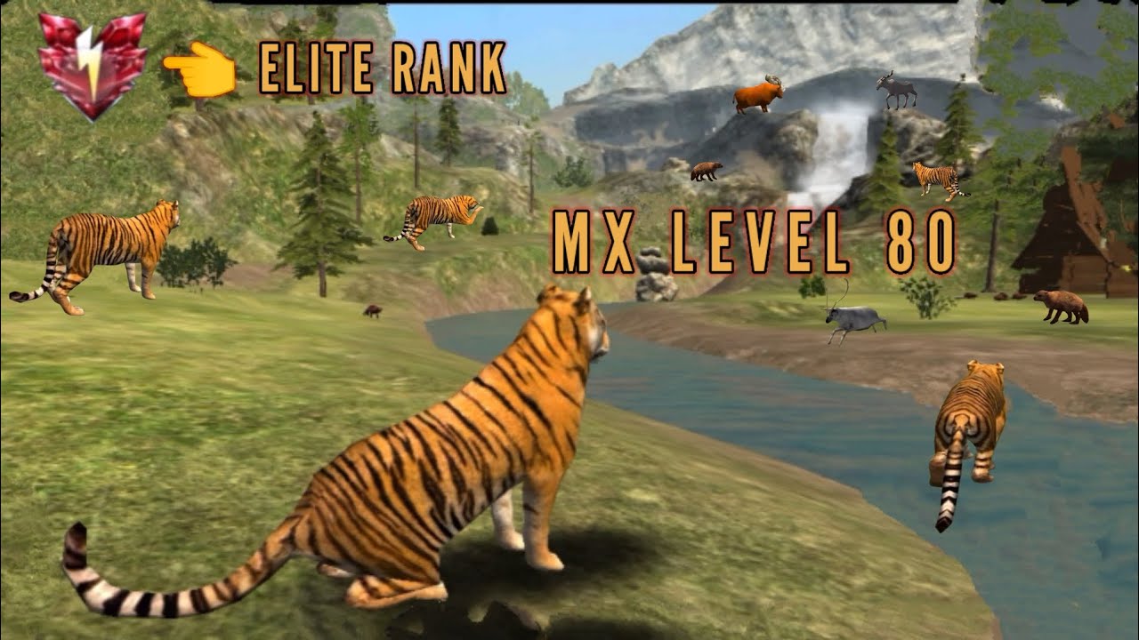 THE TIGER - MX LEVEL 80 (ELITE RANK) MAP NORTHERN TAIGA ||