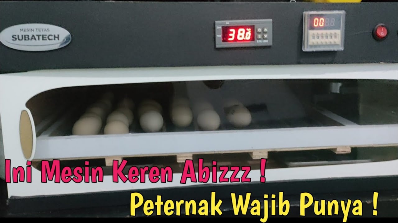 REVIEW SUBATECH ! MESIN TETAS FULL OTOMATIS YANG KEREN ABIS