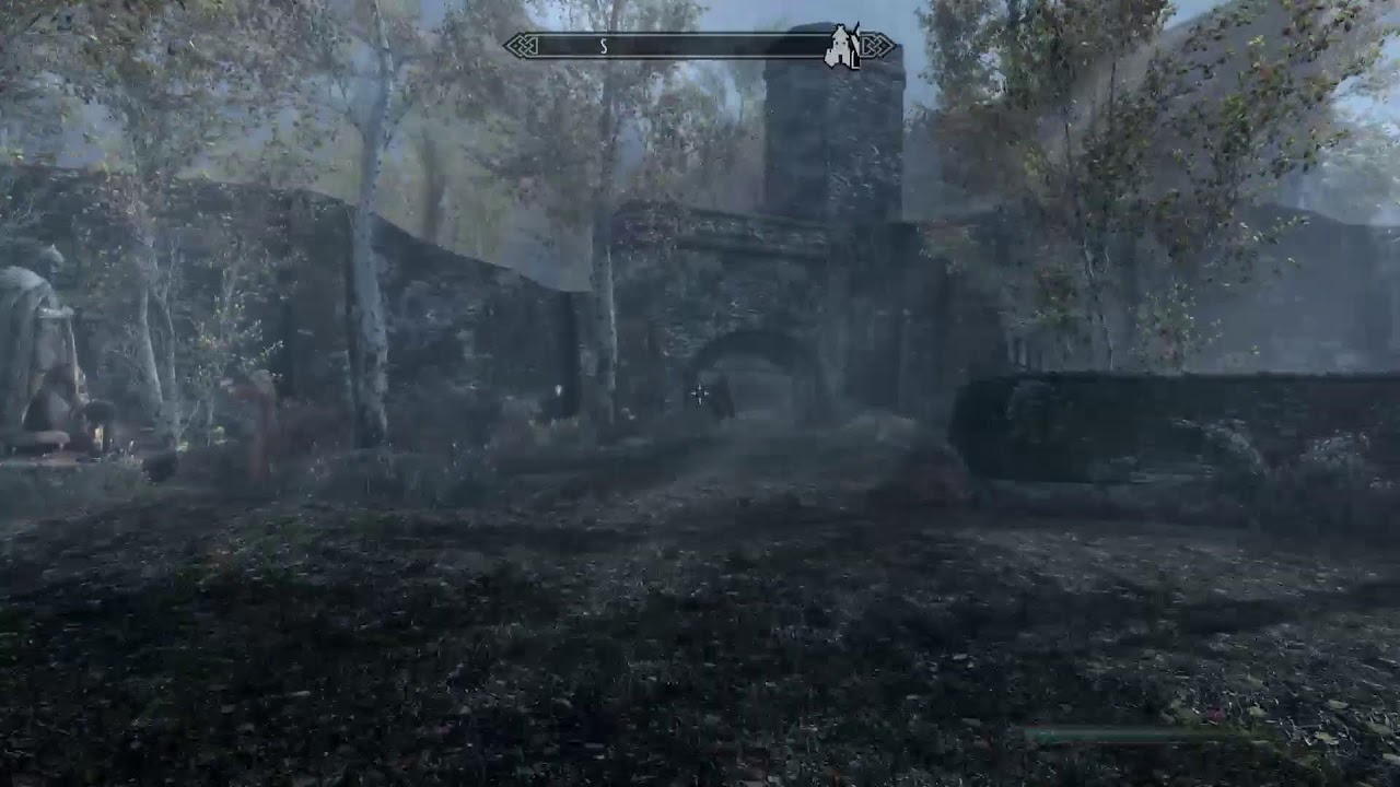 Skyrim PS5 PRO PS5 game only