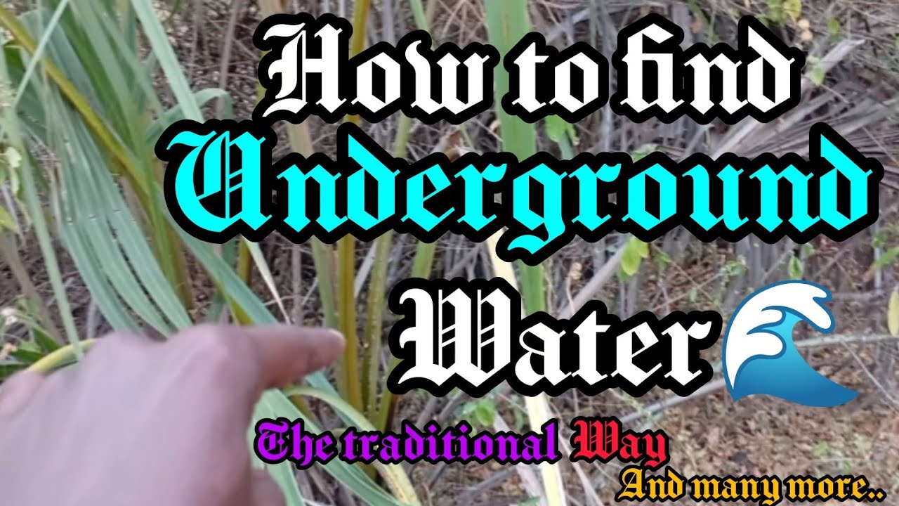 How to find underground water the traditional way and many more. N to S.F Season 1, EPS2. 