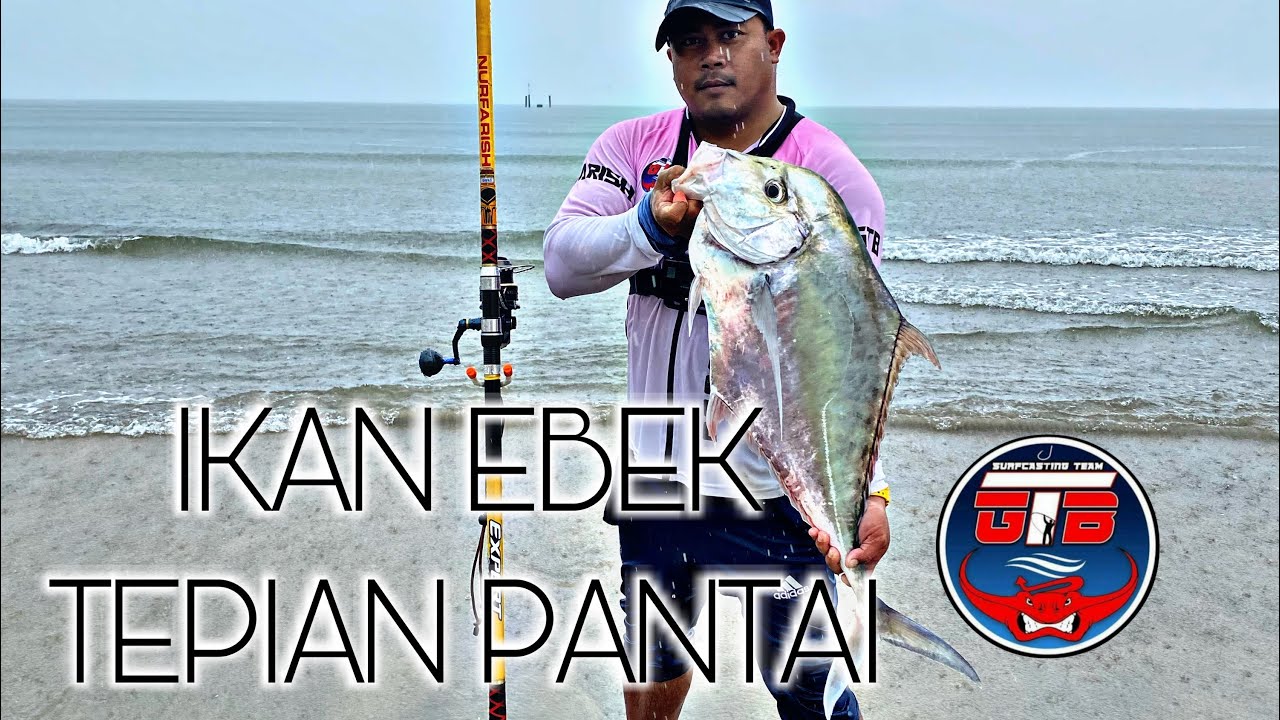 Strike ikan Ebek di dalam mini surfcasting game #Sumitoyo Braided@gtbsurfcastingteamchannel2377