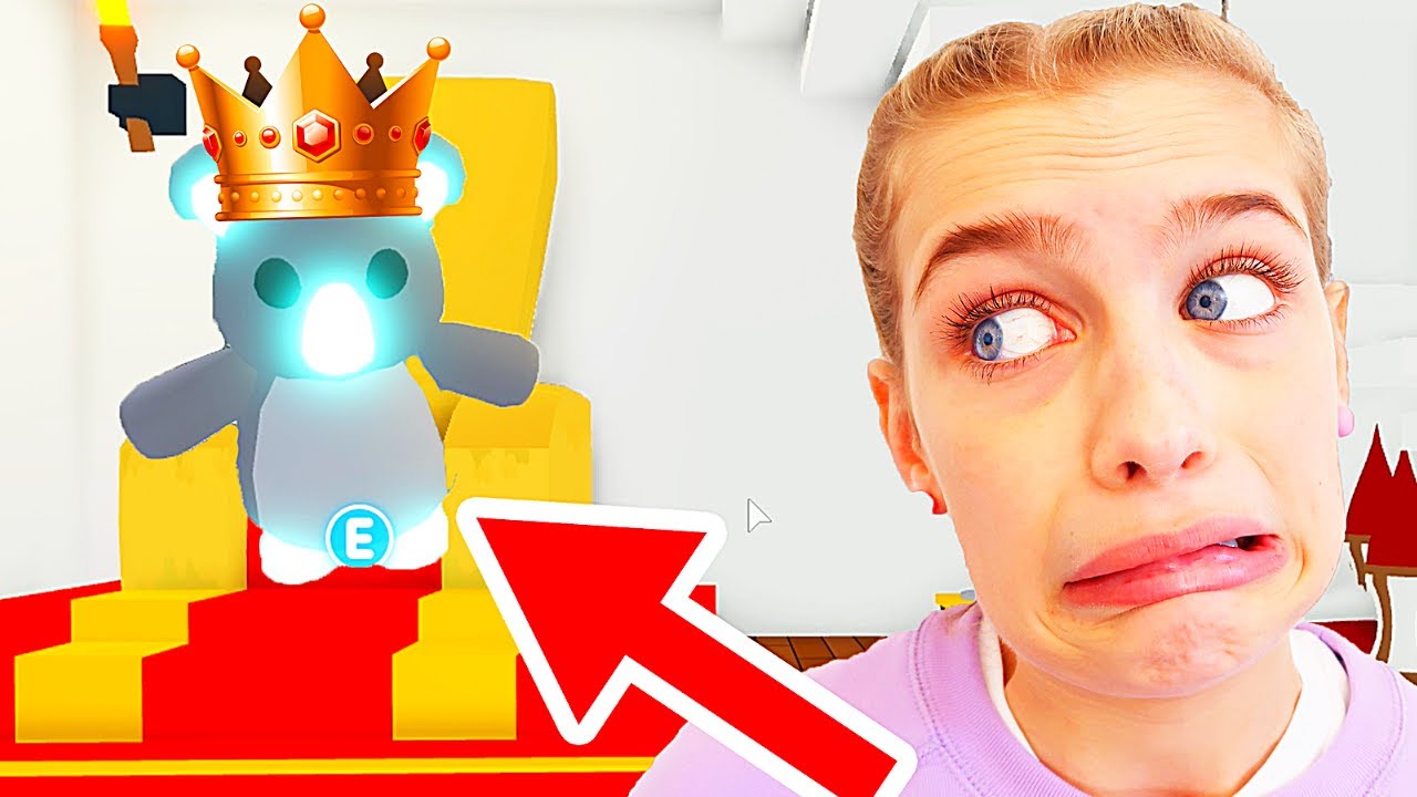 WHICH NORRIS NUTS BUILD BEST CASTLE in ADOPT ME Gaming w/ The Norris Nuts