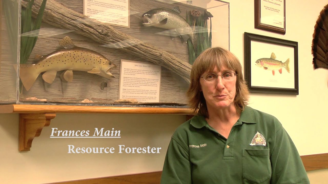 Busiek State Forest and Wildlife Area
