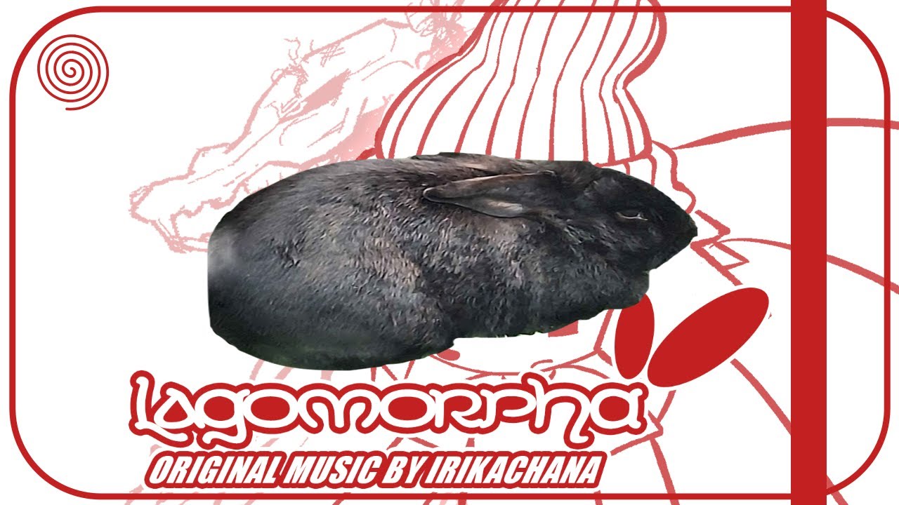 happy rabbit! (Original) || irikachana