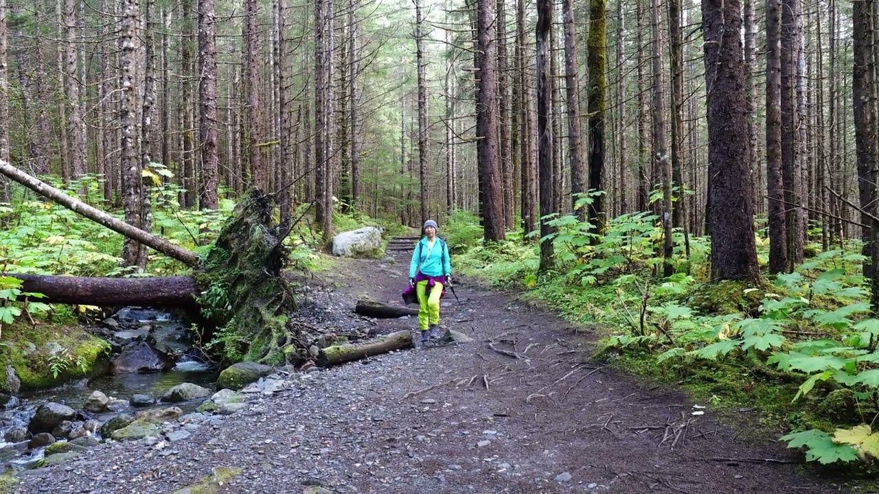 Mendenhall Glacier Guide’s Choice Trail Hike，Juneau