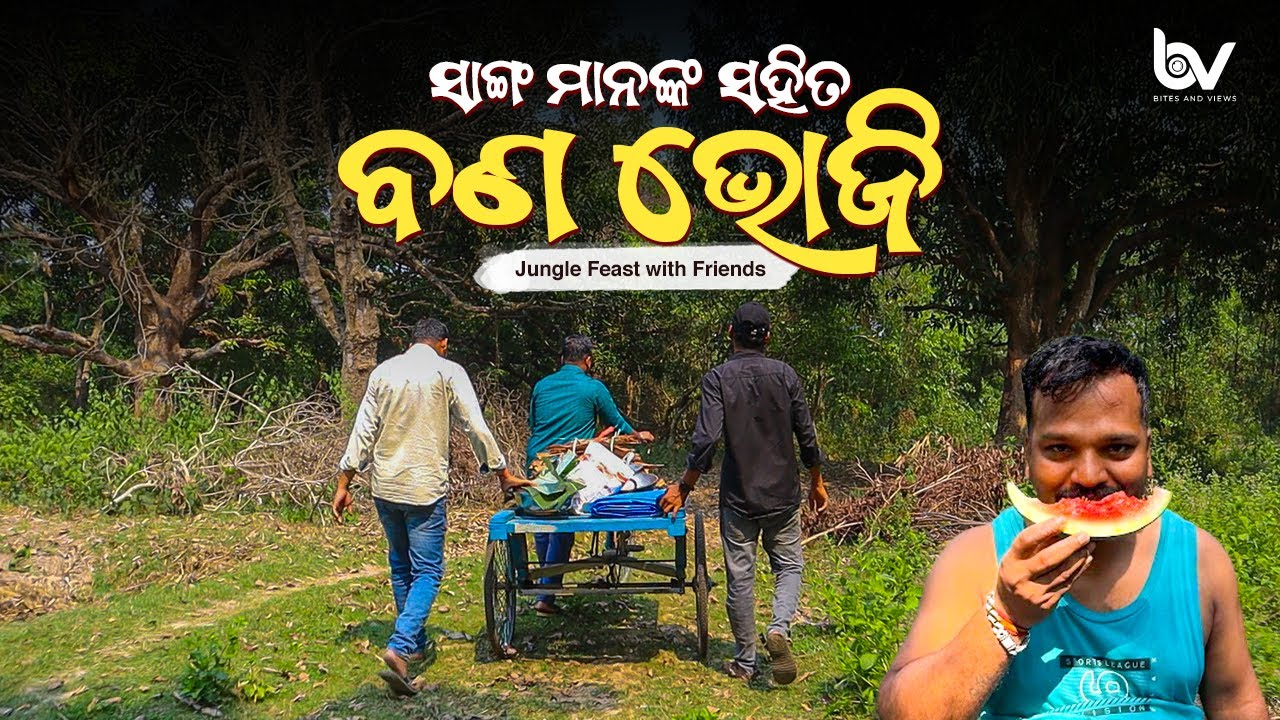 ସାଙ୍ଗ ମାନଙ୍କ ସହିତ ବଣ ଭୋଜି | Jungle Feast with Friends 🌿🔥@BitesandViews