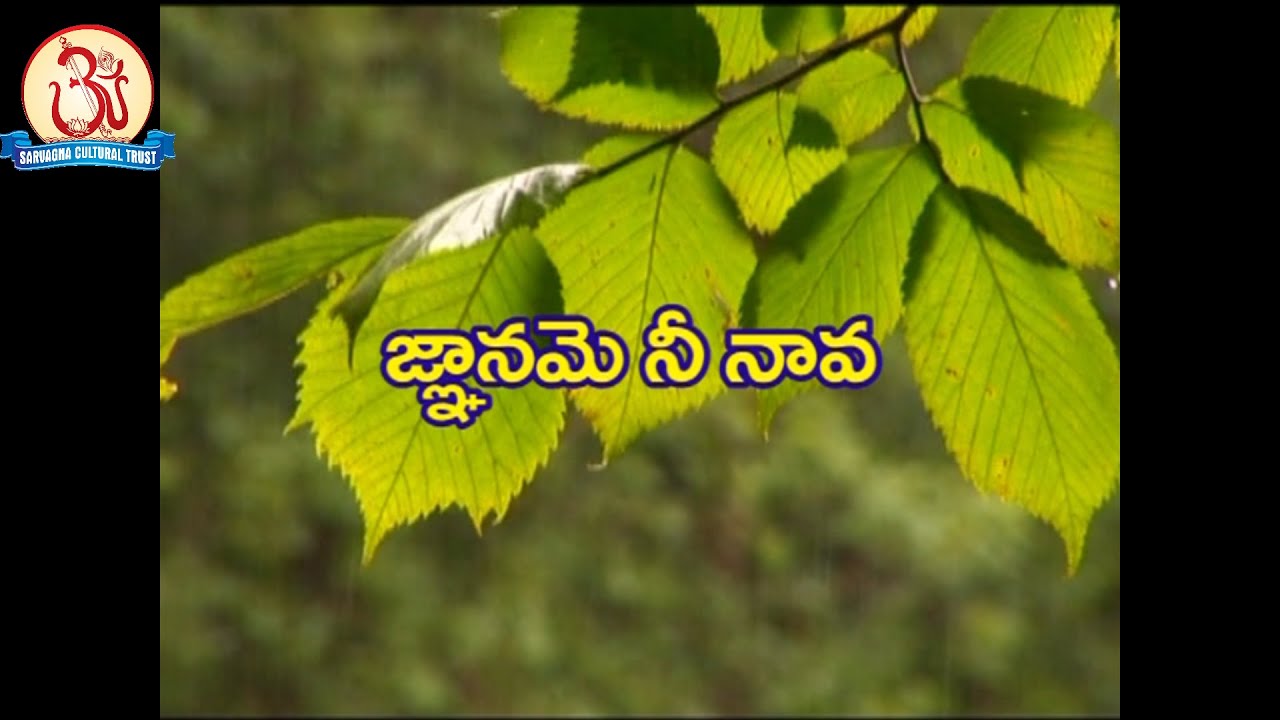 Gyaname Ni Nava Song by Swami Sundara Chaitanyananda [Nee Charita Padukona 14(16)]