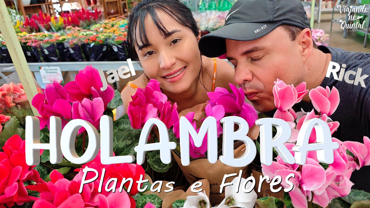 HOLAMBRA   PLANTAS E FLORES