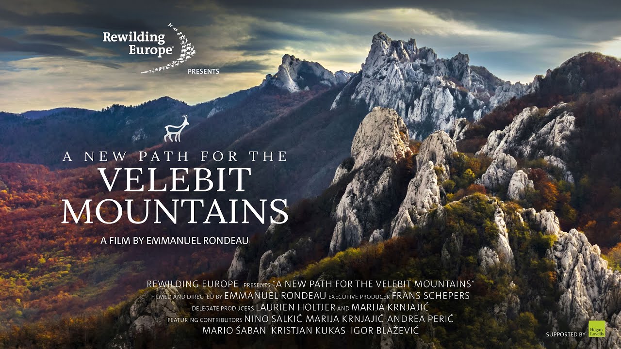 A new path for the Velebit Mountains | Documentary by Emmanuel Rondeau | Rewilding Velebit