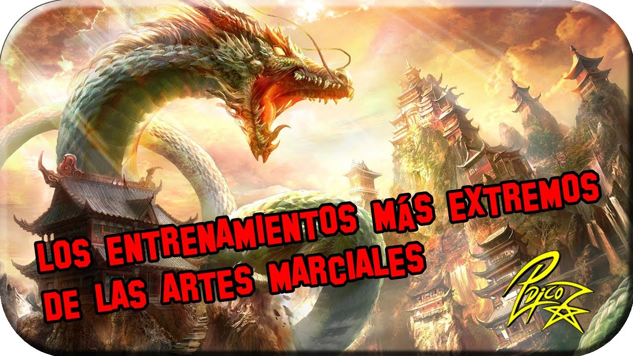 Los entrenamientos más extremos de las Artes Marciales (VIDEO ORIGINAL)