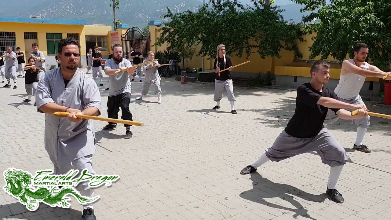 Shaolin Team 2018 - Shaolin Damo Cane
