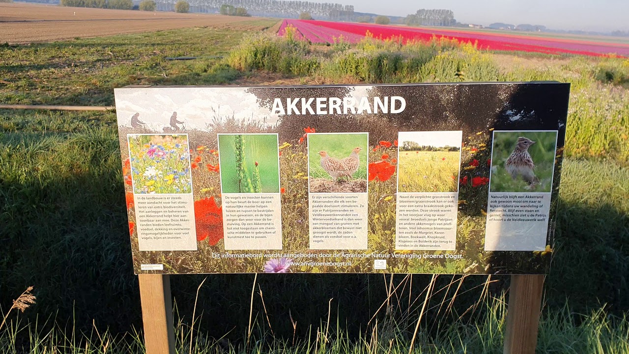 Akkerrand regio Hulst Zeeland