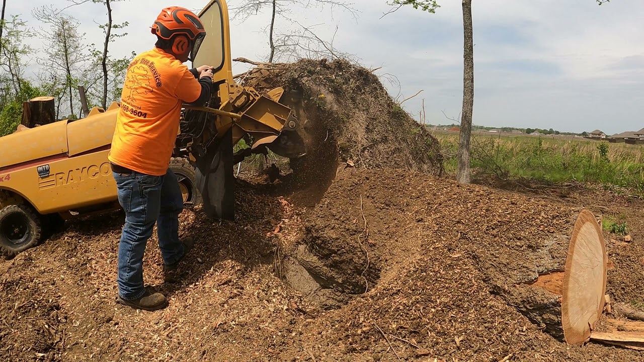 Stump Grinding This Root ball Was A Challenge