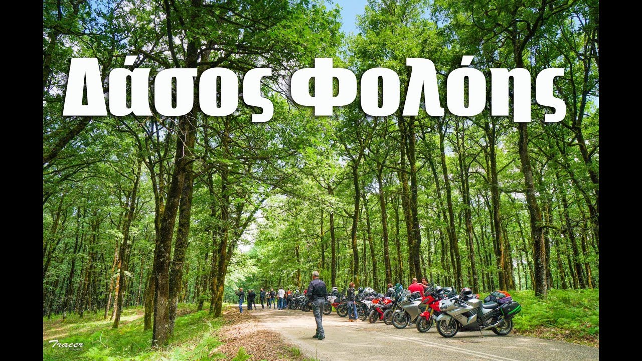 Το δάσος Φολόης και το Lalas vilage