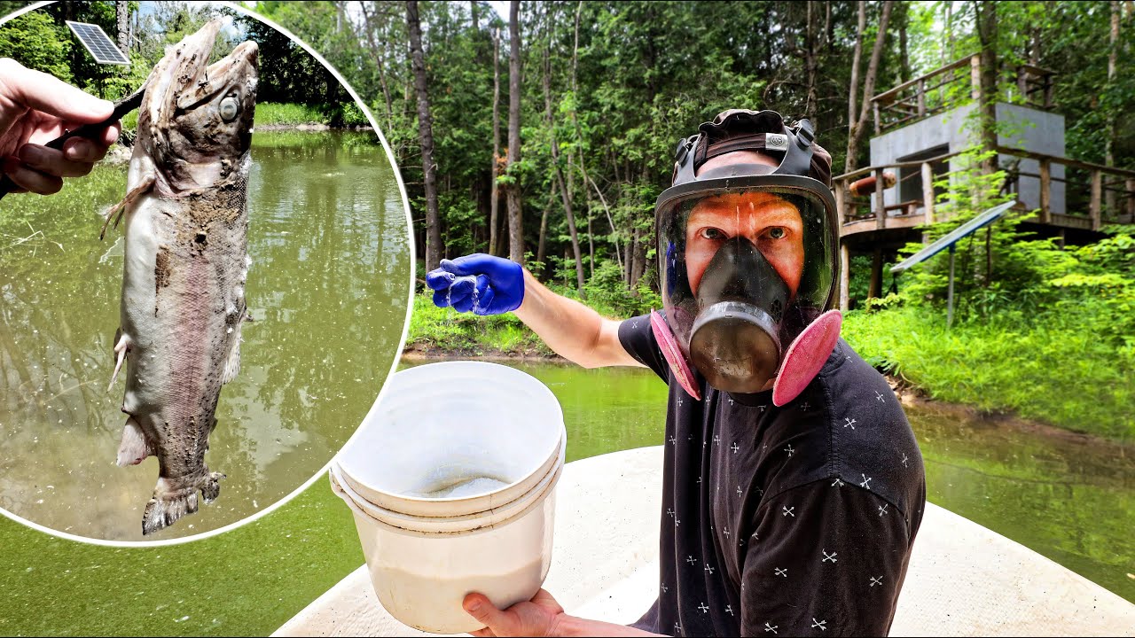 This Pond is Dead - Using EXPENSIVE Chemicals to Fix It! (will it work?)