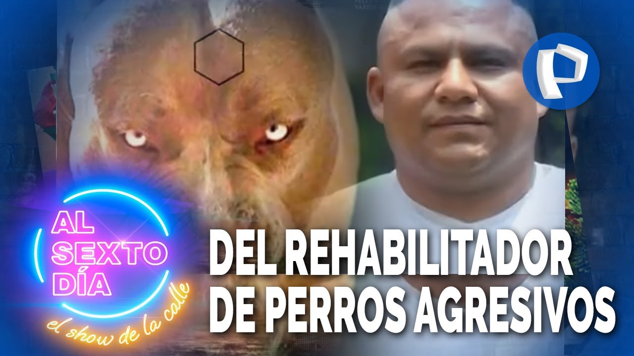 Oficio extremo: Esta es la historia del rehabilitador de perros agresivos