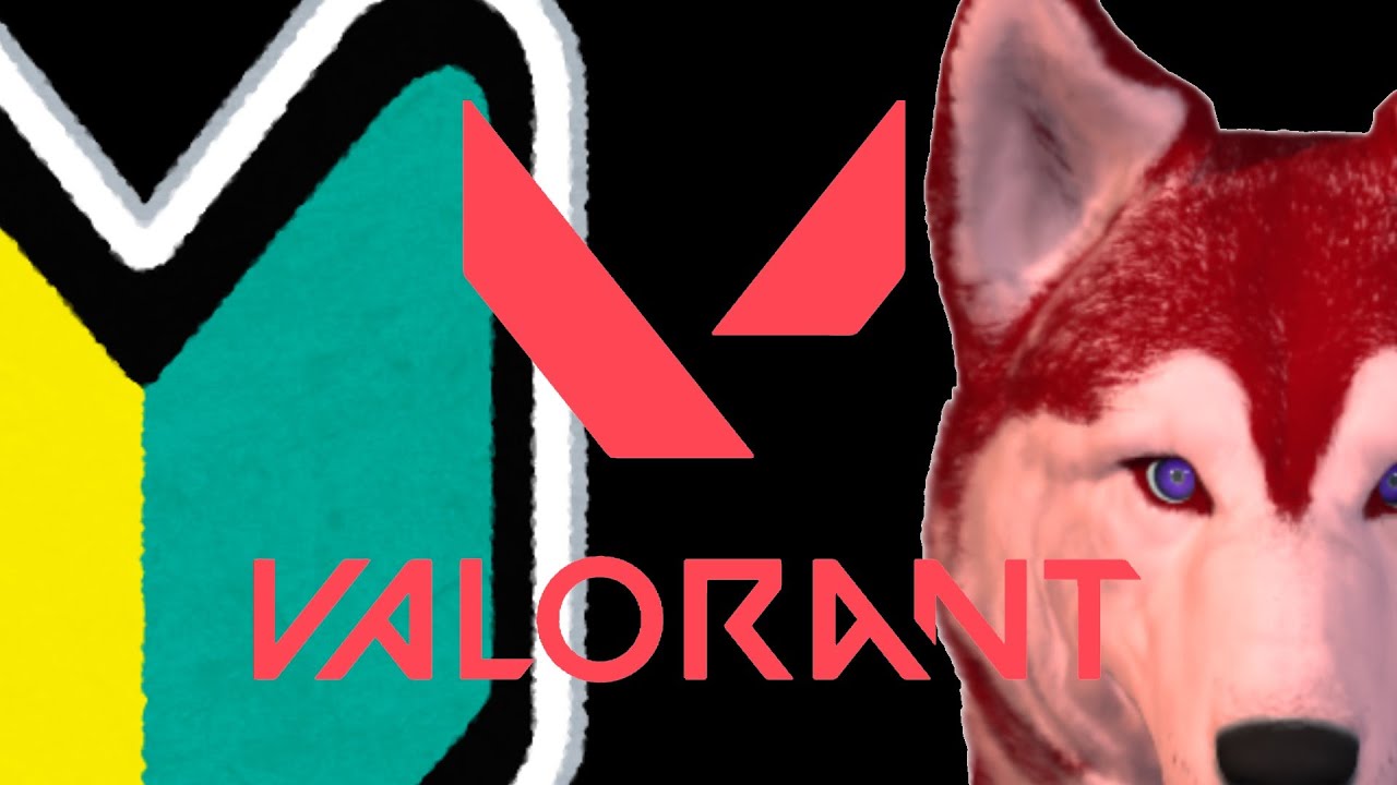 【誰得】　正直このゲームホラゲのような物だと思ってる　【VALORANT】