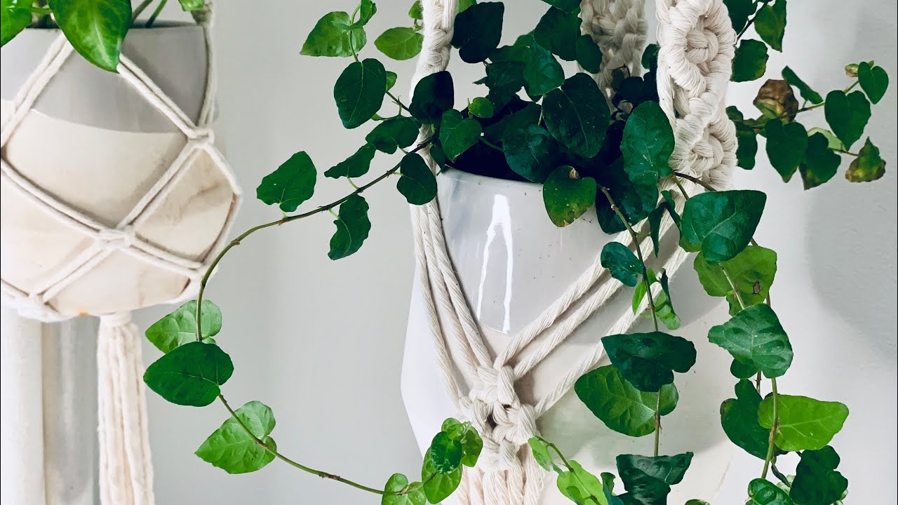 Macrame Plant Hanger | Diamond Pattern | Intermediate Tutorial