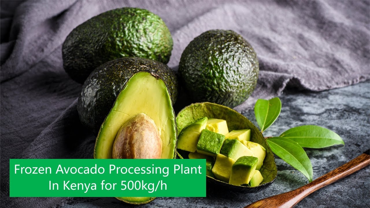 500kg/h Final Frozen Avocado Processing Plant in Kenya