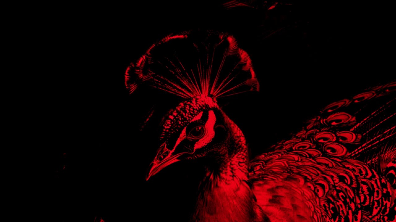 Lege-Cy - El Neyya | ليجي-سي - النيه (OG VERSION)