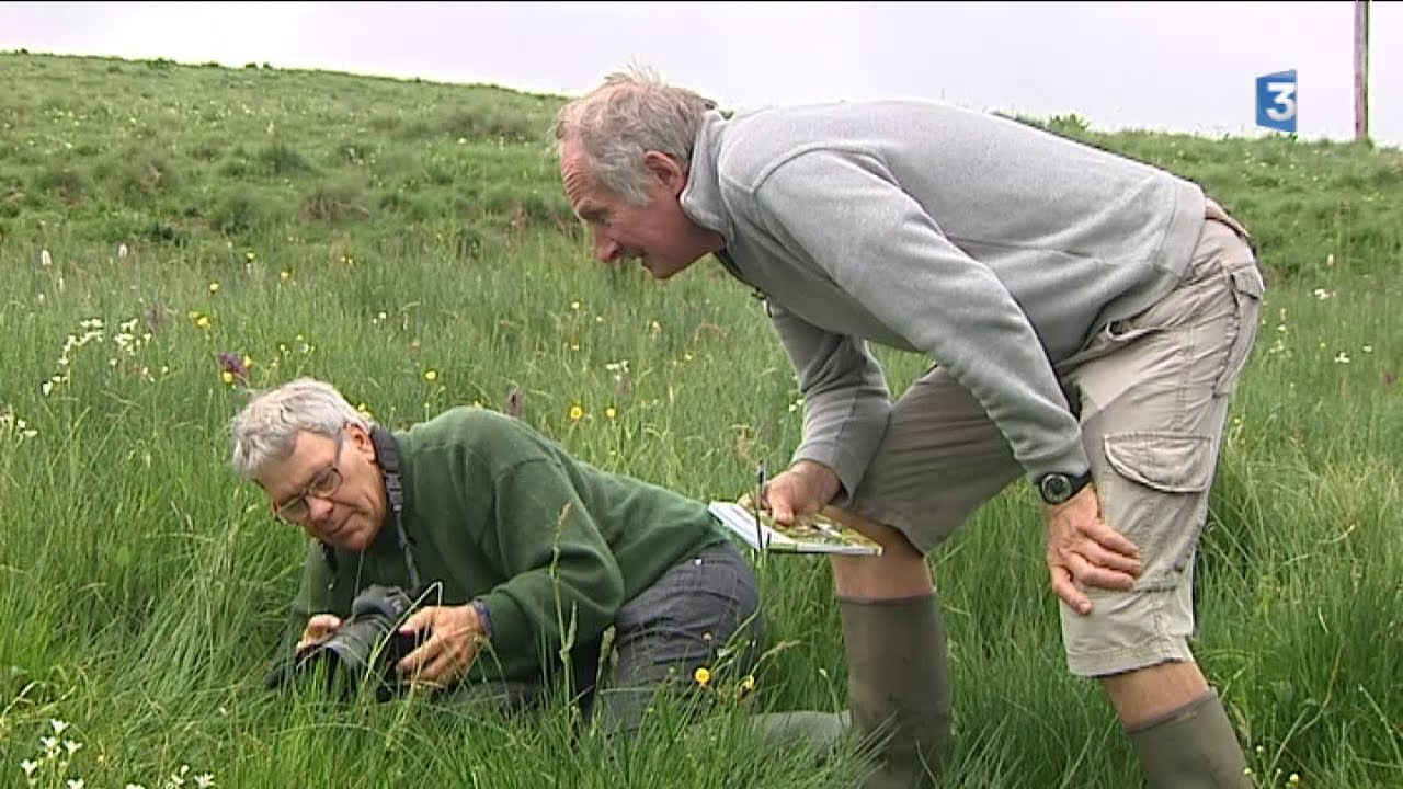 Orchidées Sauvages - Jean-Paul Favre et Francis Debaisieux - Reportage FR3 Auvergne - Rhône--Alpes