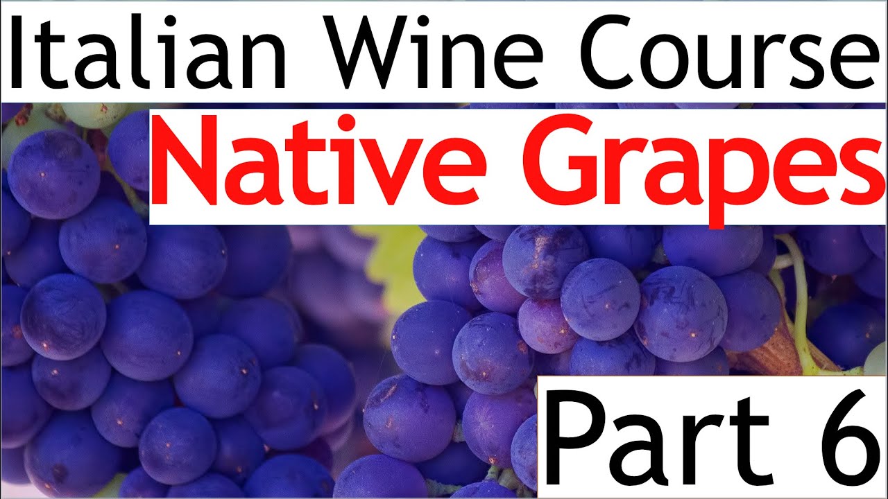Italian Wine Course Part 6: Native Grapes