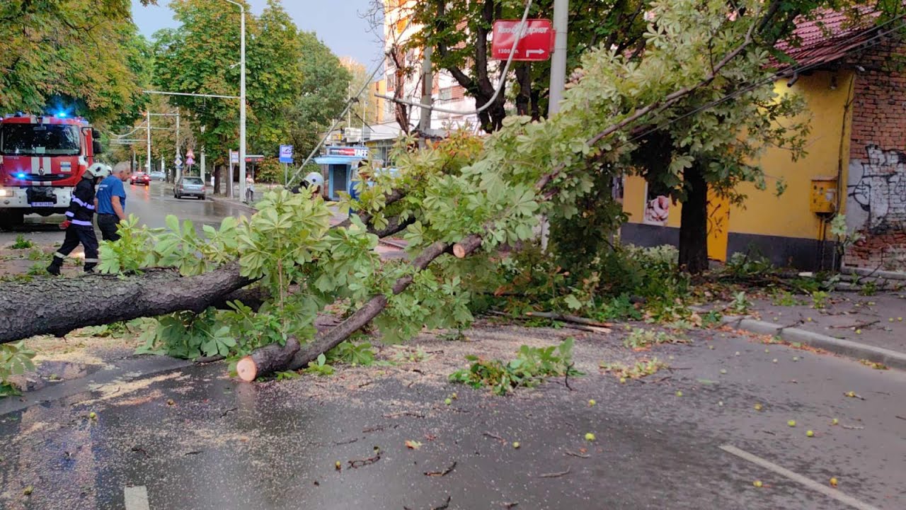 Бурята в Русе: Хора, затиснати от паднали дървета, и затворени улици