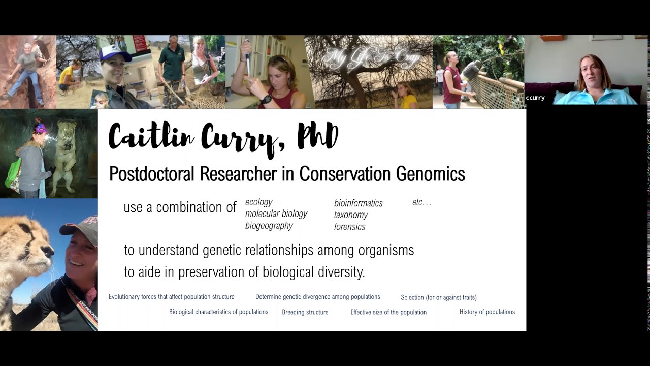 My Path to a Career in Wildlife Conservation Genetics