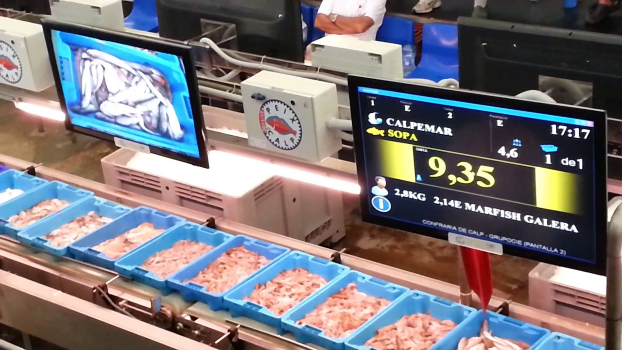 Fish Market and Auction in Calpe - Costa Blanca 08/2014