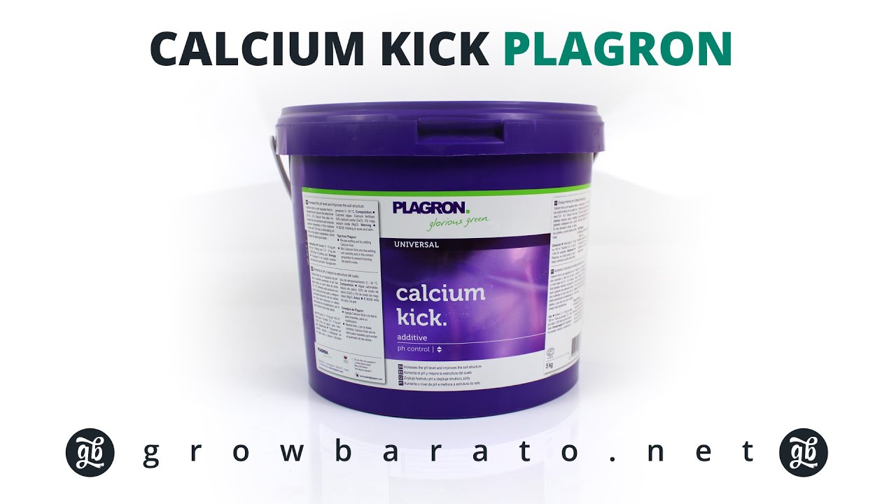 Calcium Kick de Plagron | Growbarato - GB The Green Brand