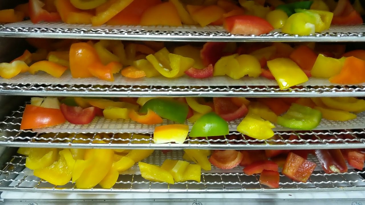 Dehydrating Sweet Peppers