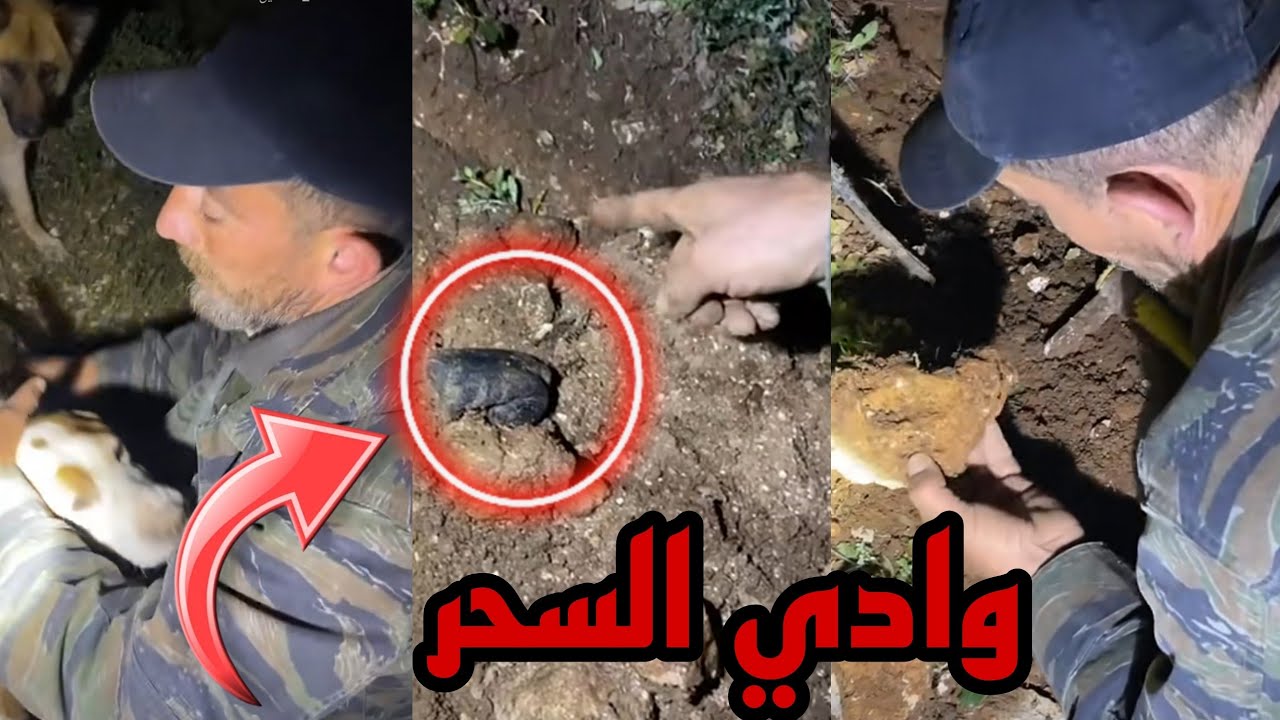 وادي السحرة وسحر جديد يستخرجه الكلب صاحب مع العم ابو حياري