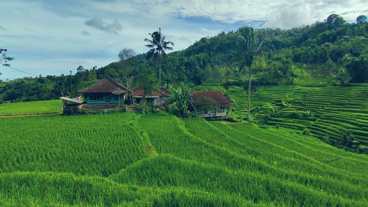 DIJAMIN BETAH 😍 KAMPUNGNYA SEUPER INDAH, ADEM, AYEM DAN SEJUK 🌾🍀