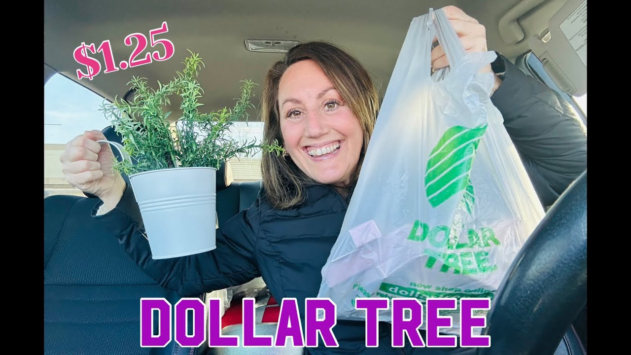 НОВИНКА DOLLAR TREE HAUL✨✨ Весенние товары по $1,25 и невероятная косметика!