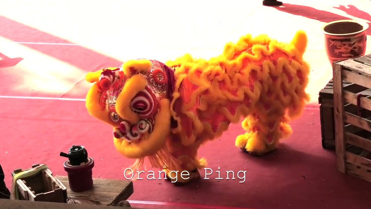 腾阳龙狮体育会A队 Teng Yang Dragon & Lion Dance Association Team A
