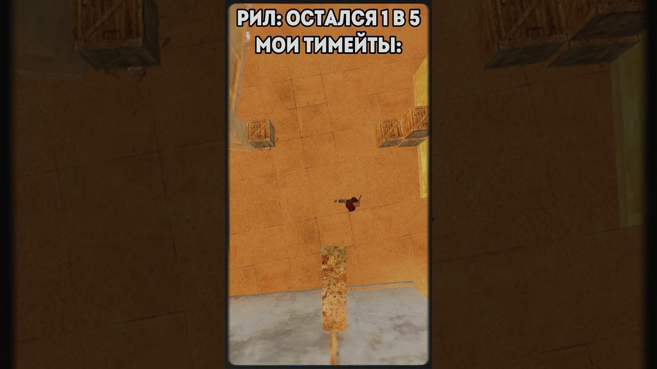Рил: Остался 1 в 5 в Standoff 2 #roblox #memes #голди #standoff2 #стандофф2