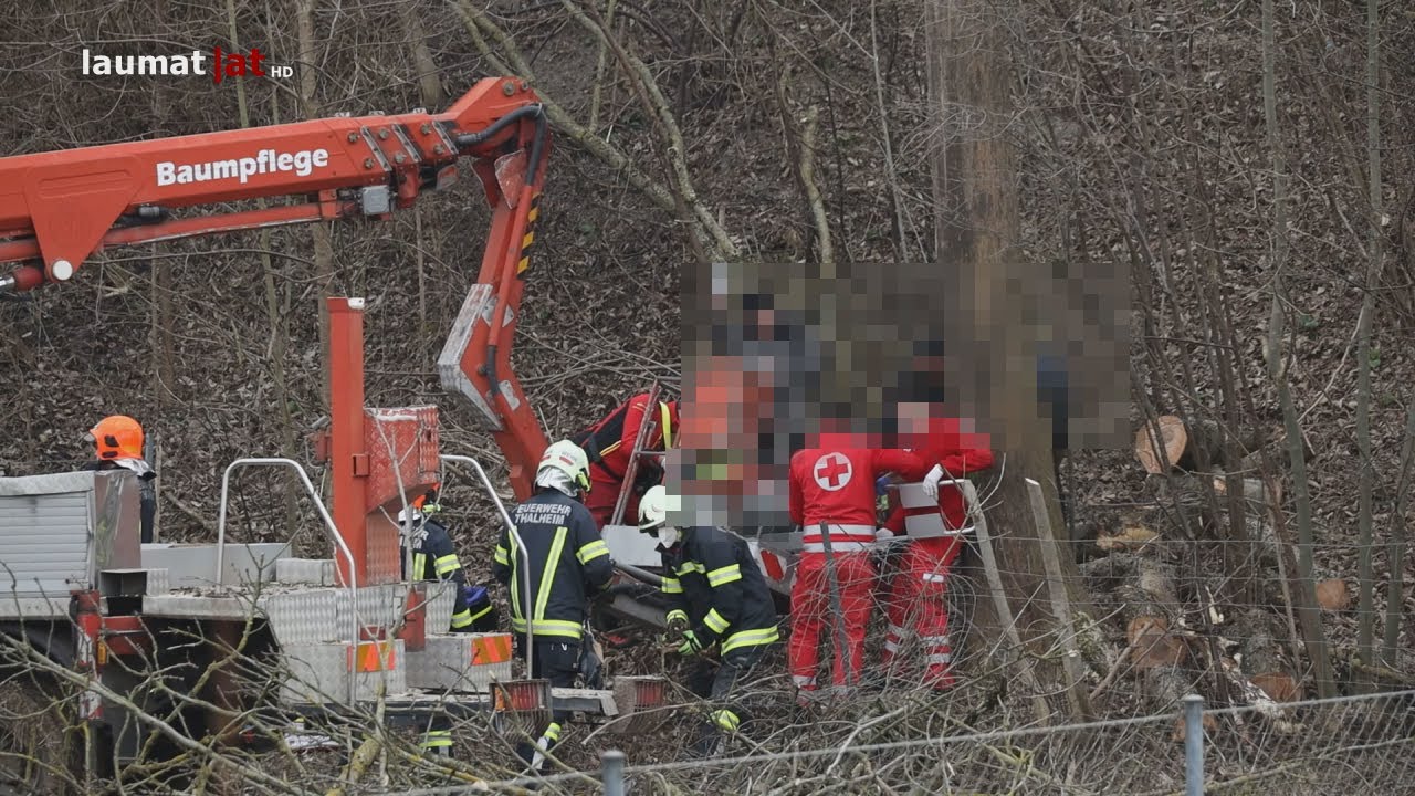 Verletzter Forstarbeiter in Thalheim bei Wels aus Arbeitskorb eines Hubsteigers gerettet