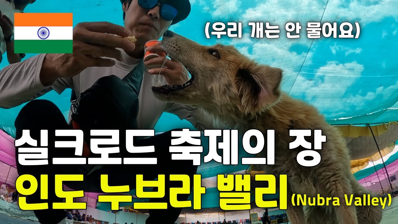 🇮🇳(ENG) 인도 누브라 밸리에서 만난 실크로드 축제 - 세계일주(151) -