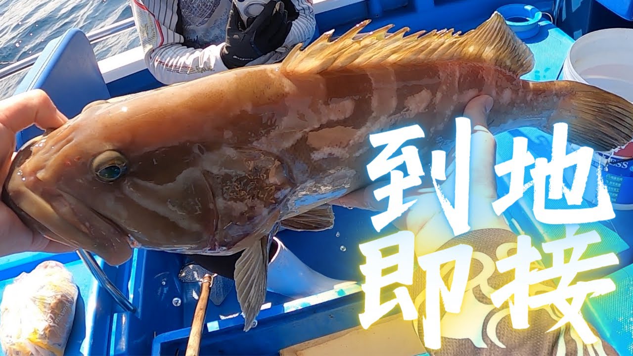 到地即接 x 外海【艇釣日誌】香港釣魚