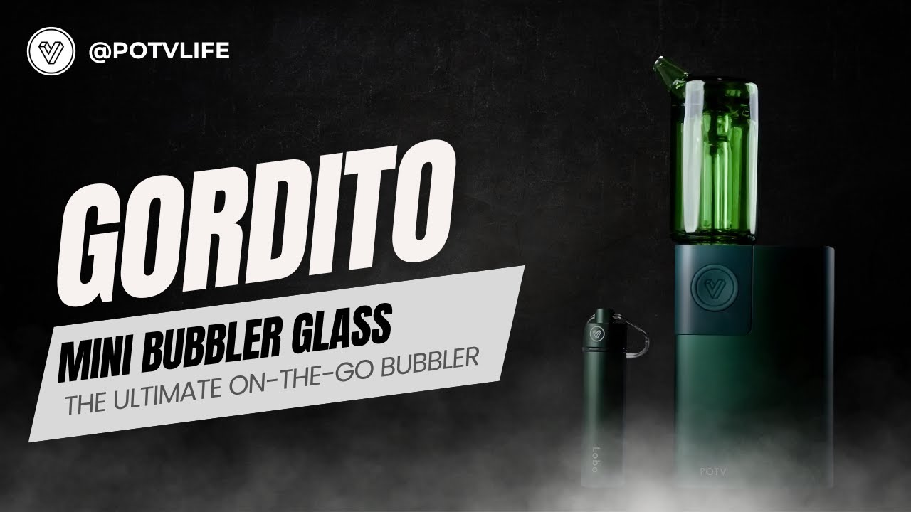 Introducing the POTV Gordito Mini Bubbler! 🌬️💨