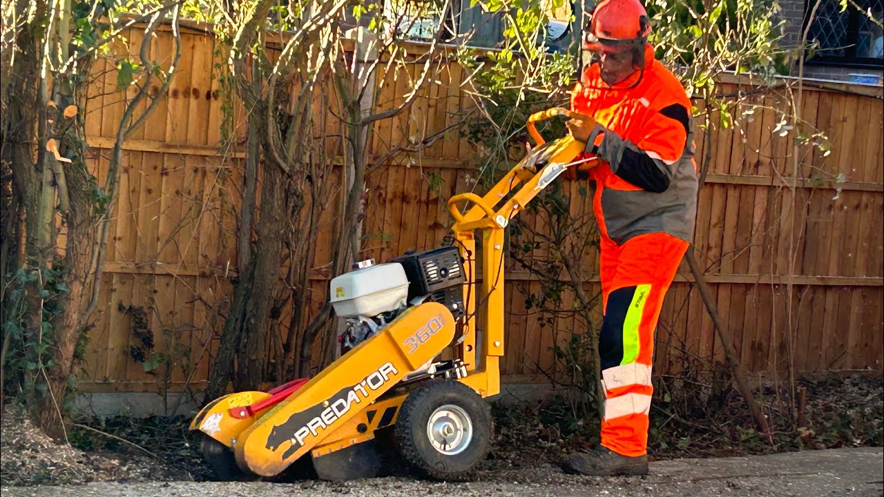 Stump grinding with the Predator 360 small stump grinder