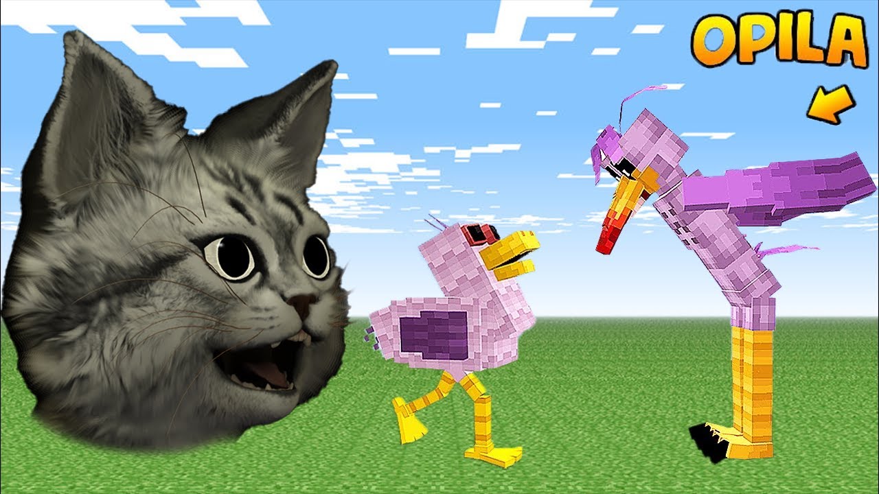 OPİLA BİRD vs REİNCARNATED OPİLA BİRD | Minecraft | Dayanıklılık Testi