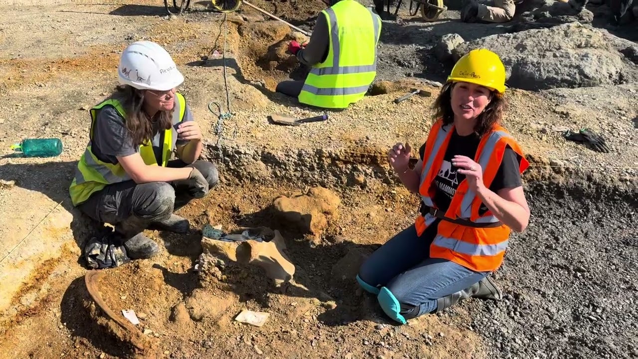 So many mammoth bones on the Hills Quarry Products dig! 2025 #tuskforce 