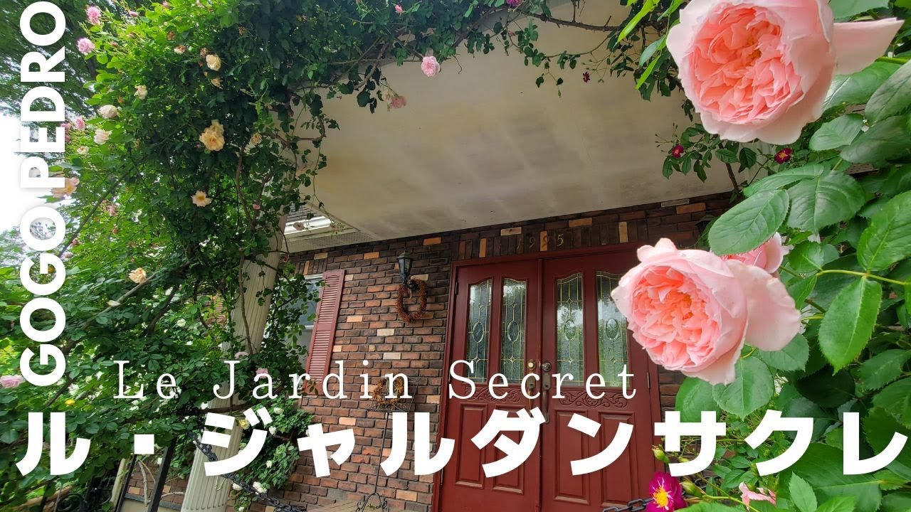 Le Jardin Secret 2025 ル・ジャルダン サクレ [ Private Residence 権田邸 ] Saitama JAPAN / 秘密の花園 / バラ / 個人邸 /