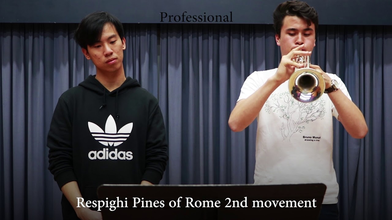Professional vs Beginner Trumpet