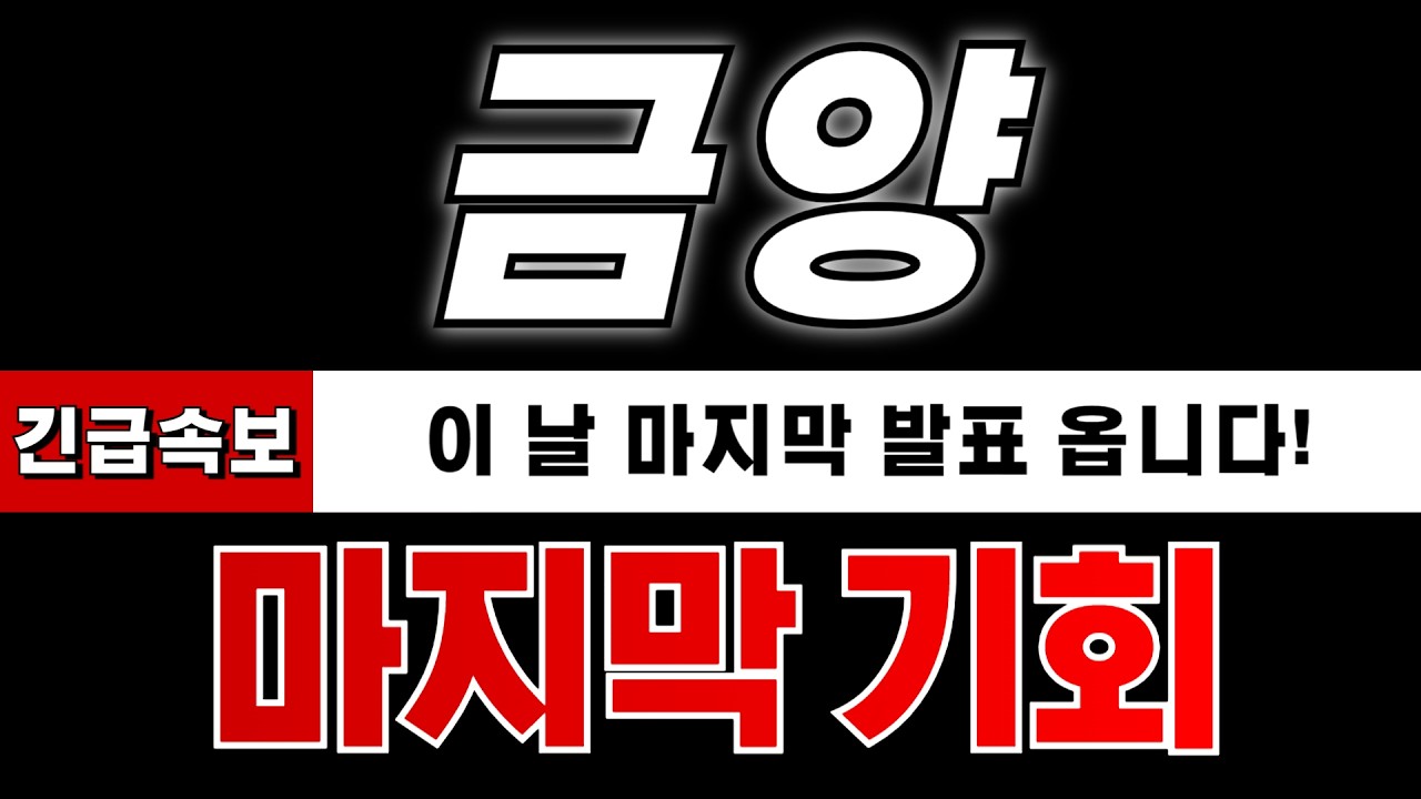 [금양 주가전망] 10분 전 속보! 드디어 거래정지 풀리나? 내용 빠르게 확인하세요!