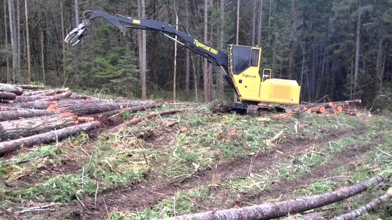 880 Tigercat shovel