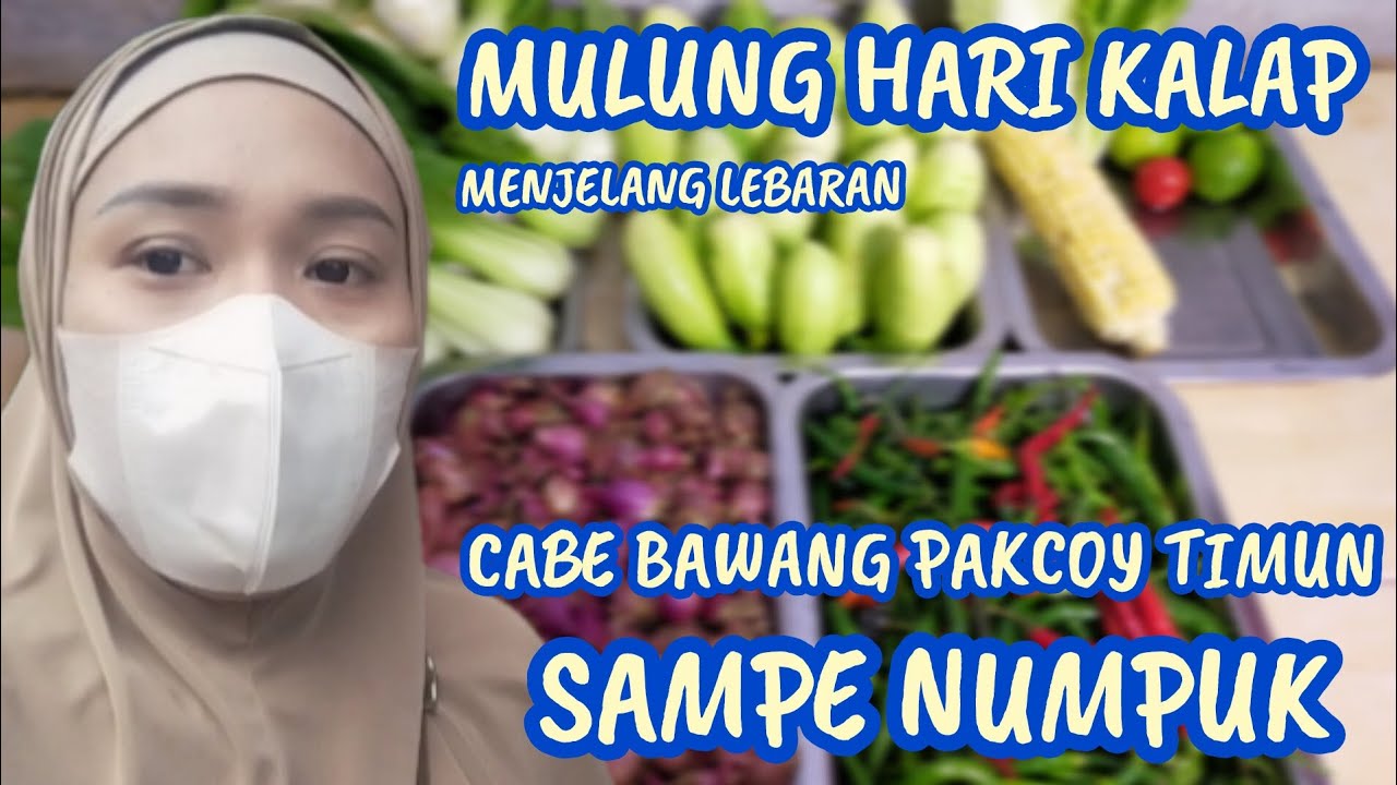 MULUNG HARI KALAP SAMPE TAK TERSISA 🤭😭😭