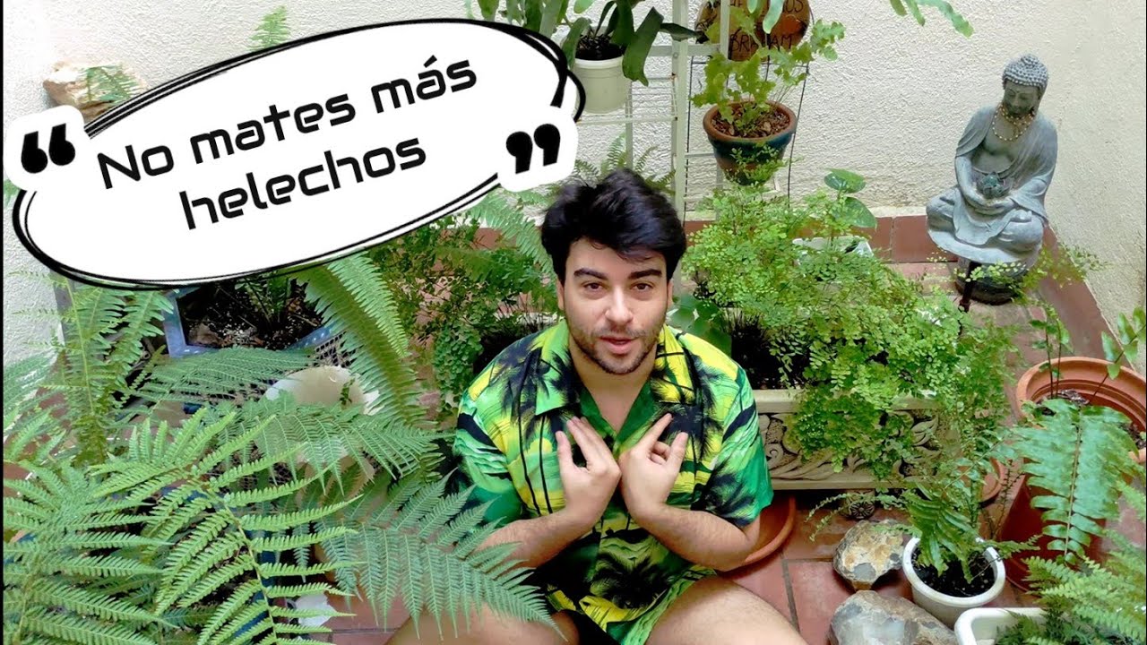 Cómo NO cuidar los helechos | Aprendiendo de mis propios errores 😥 #nature